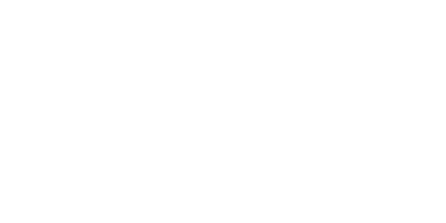 Apex Apartments